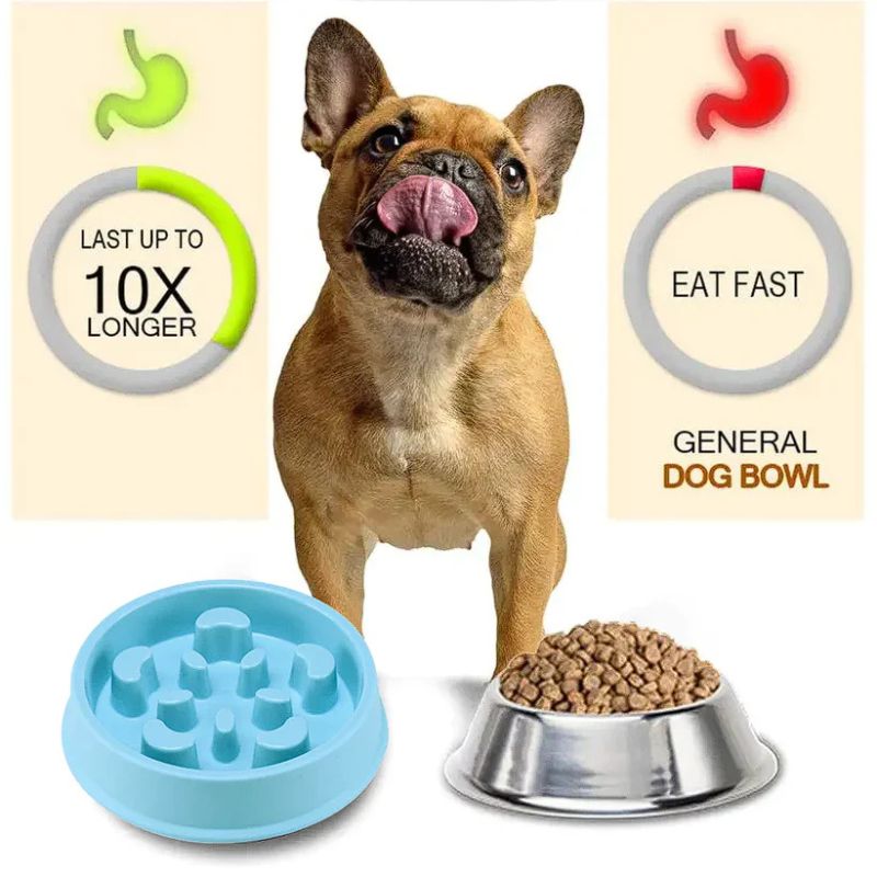 frenchie-space-anti-gulping-french-bulldog-bowl-5 anti-gulping french bulldog bowl