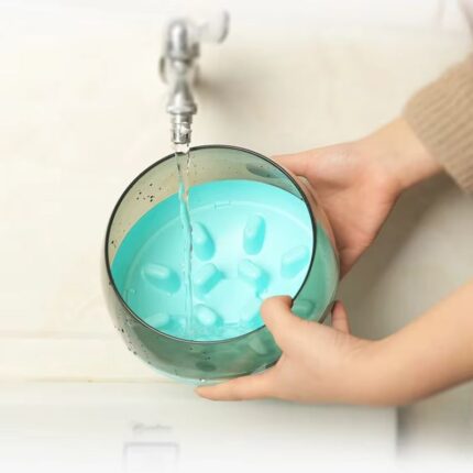 capsule french bulldog bowl