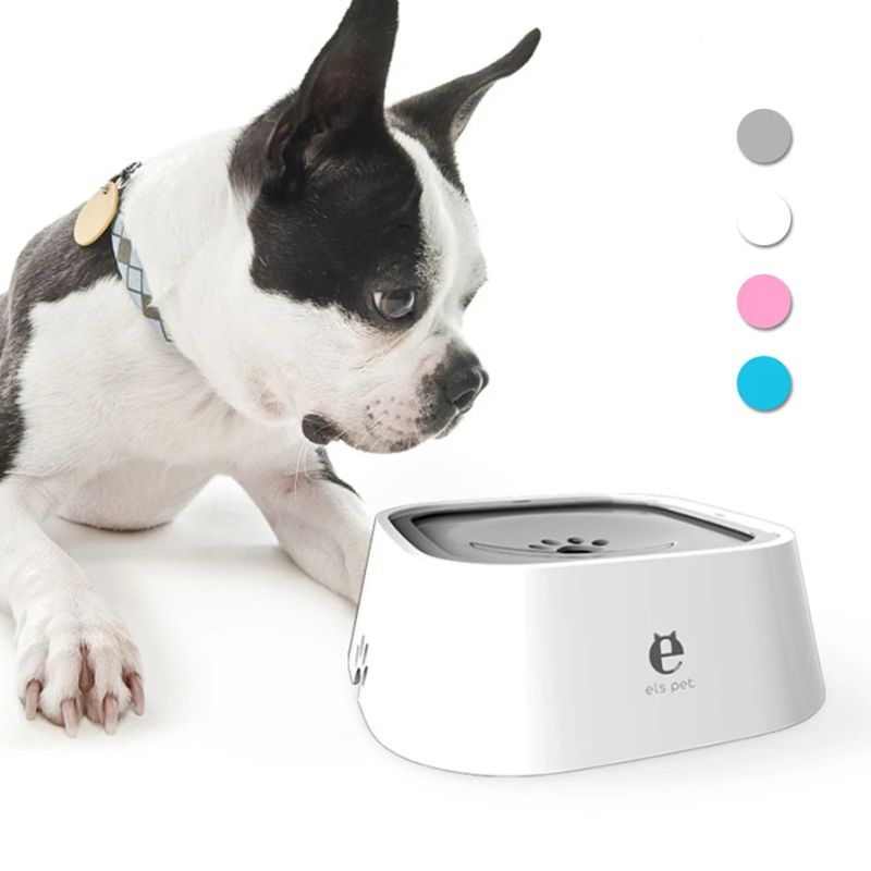 frenchie-space-floating-frenchie-water-bowl-1 floating frenchie water bowl