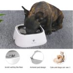 floating frenchie water bowl