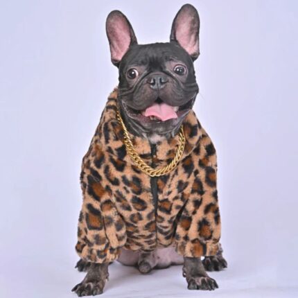 leopard french bulldog jacket
