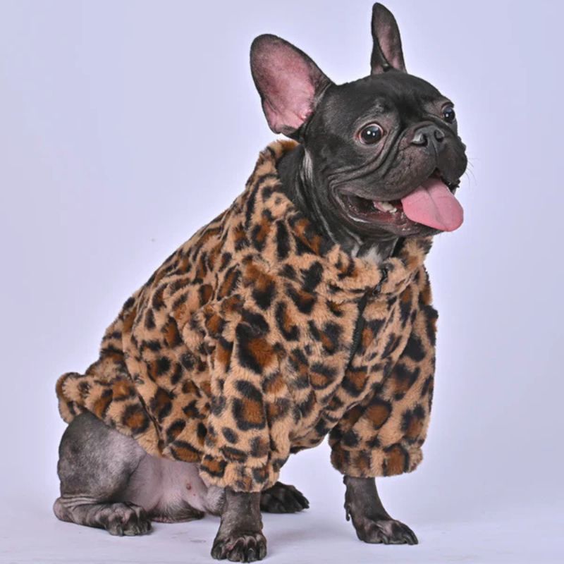 frenchie-space-shop-leopard-french-bulldog-jacket-2 leopard french bulldog jacket