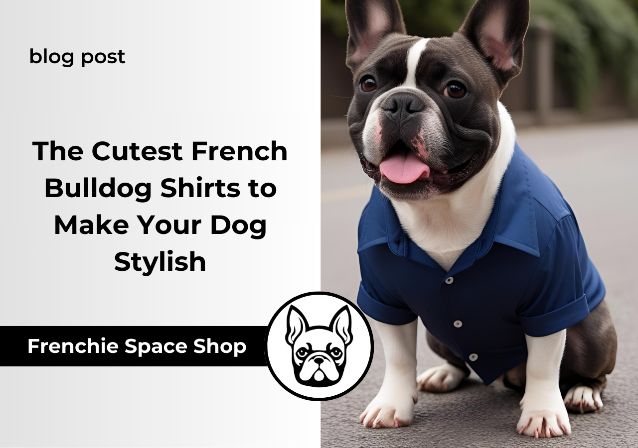 shirts for frenchies