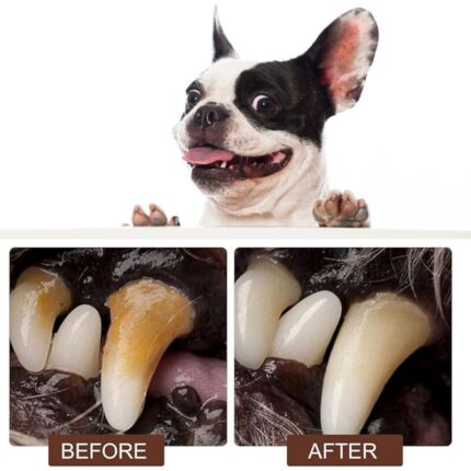 french bulldog teeth pen