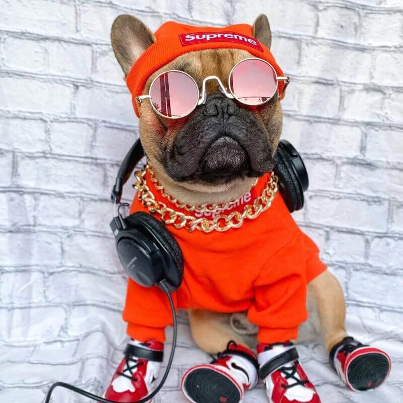frenchie-space-shop-pupreme-french-bulldog-hoodie-hat-14 pupreme french bulldog hoodie hat