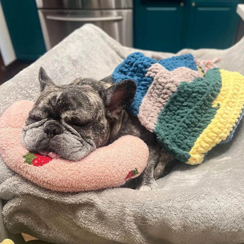 frenchie-space-shop-crescent-frenchie-neck-bed-5 crescent frenchie neck bed