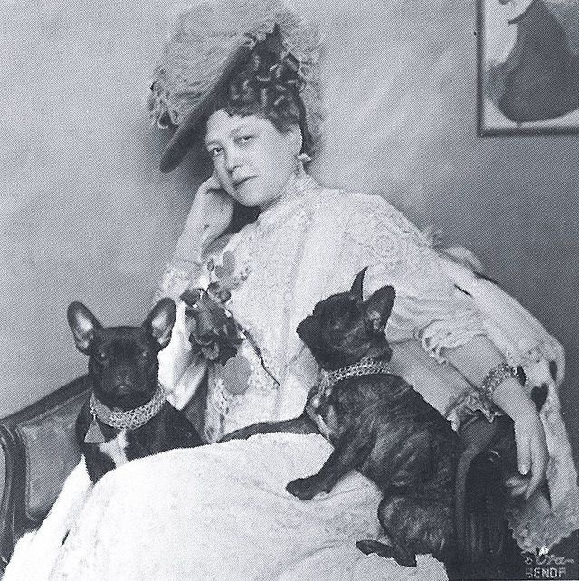 French Bulldog Original Look frenchie space