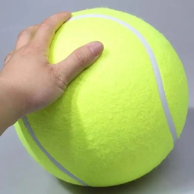 giant frenchie tennis ball
