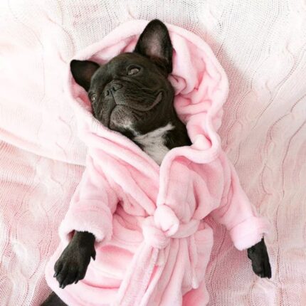 french bulldog bathrobe