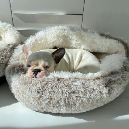 french bulldog cave bed