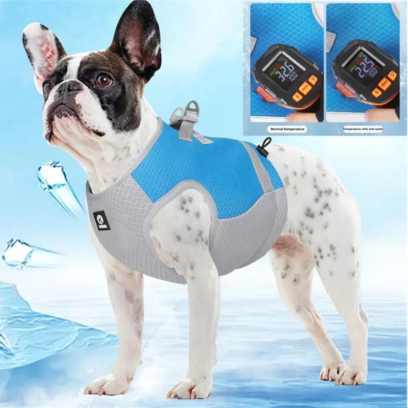 frenchie-space-shop-french-bulldog-cold-vest-7 french bulldog cold vest