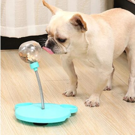 french bulldog feeding stick