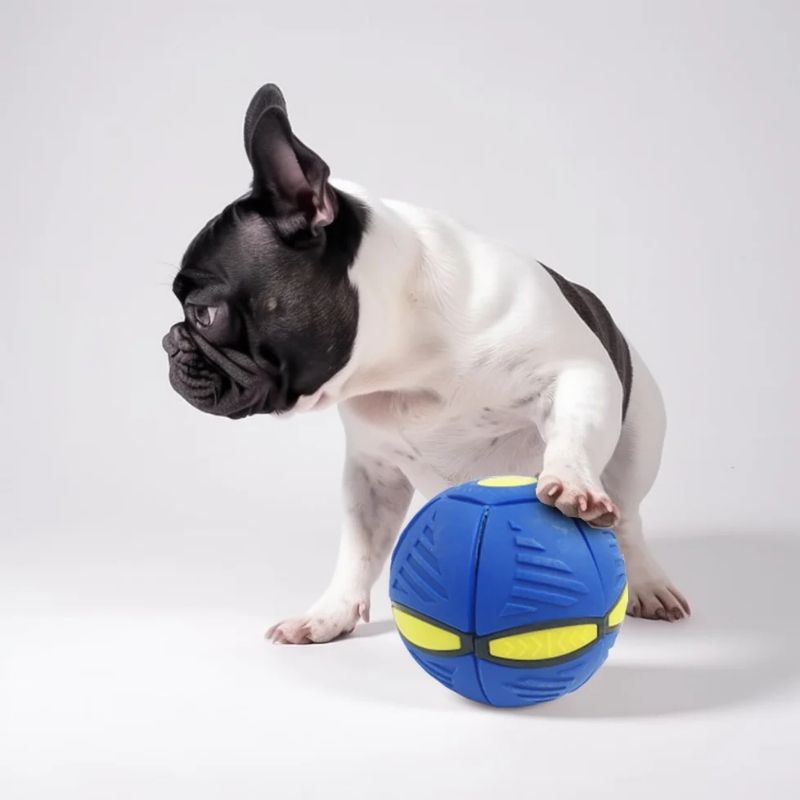 frenchie-space-shop-french-bulldog-flying-ball-7 french bulldog flying ball