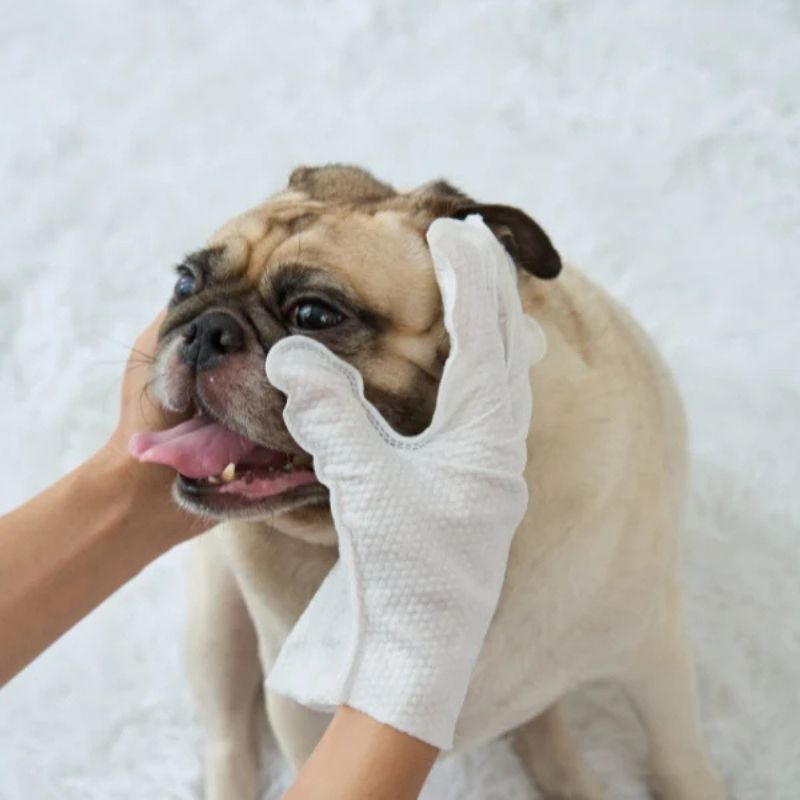 french bulldog wipe gloves