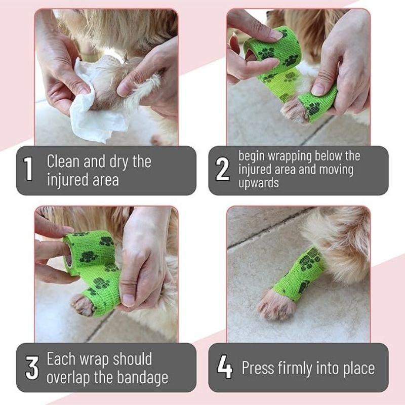 frenchie dog paw bandage