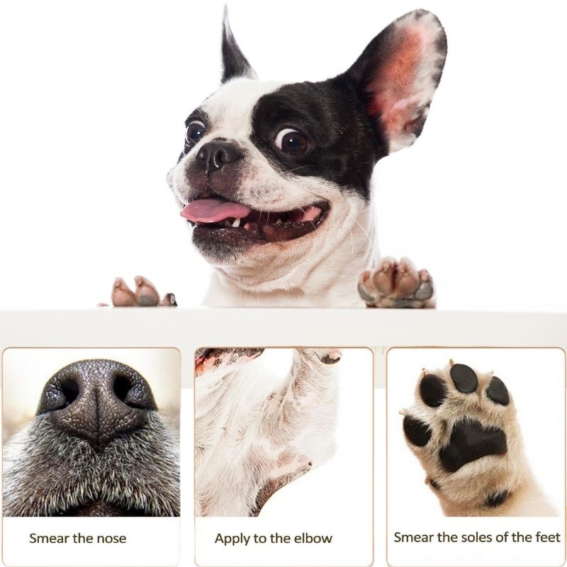moisturizing french bulldog balm