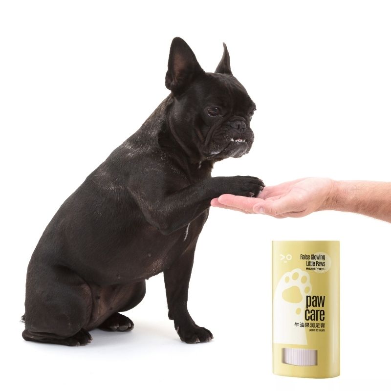 moisturizing french bulldog balm