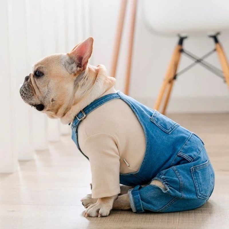 denim french bulldog jumpsuit