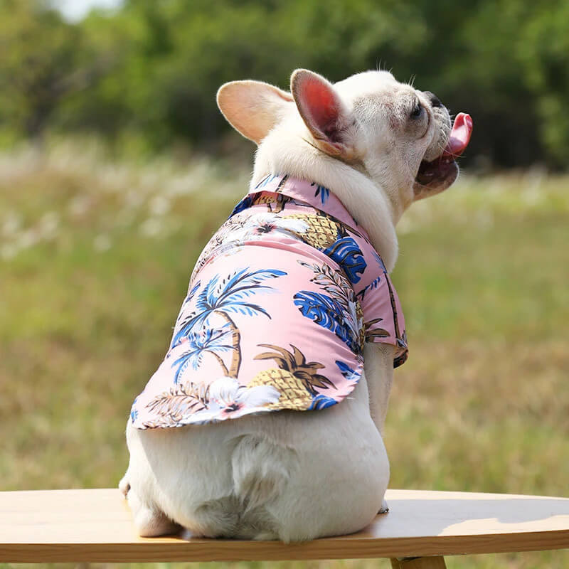 french bulldog beach shirt