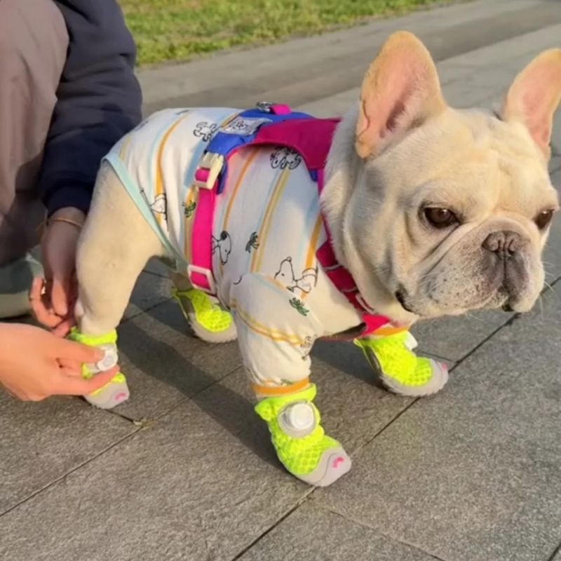 french bulldog mesh sneakers