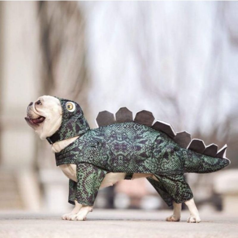 jurassic frenchie jumpsuit