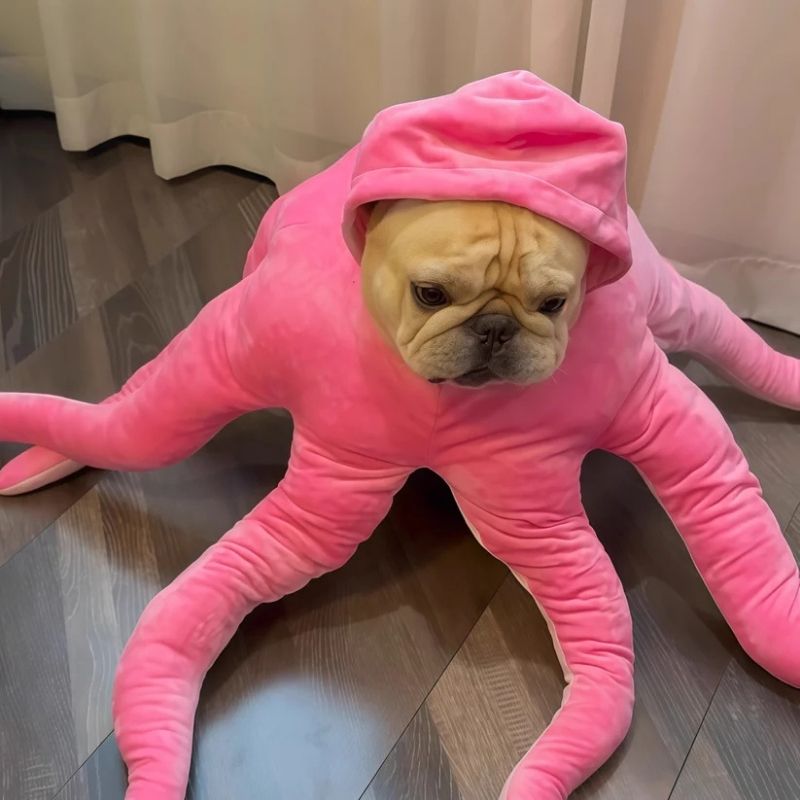 octopus french bulldog costume