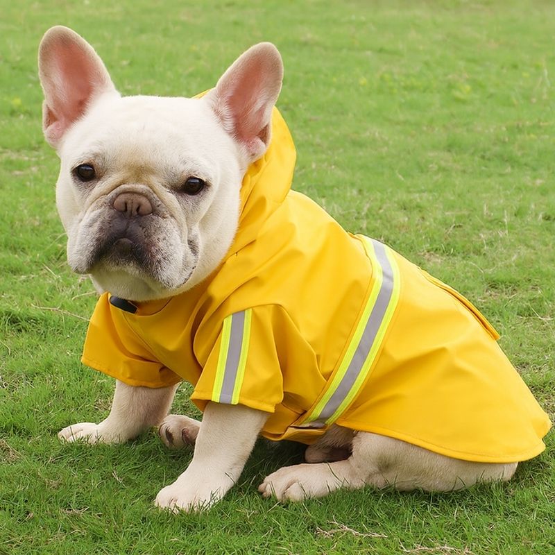 french bulldog waterproof raincoat