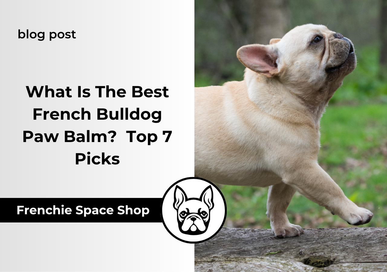 frenchie space french bulldog paw balm