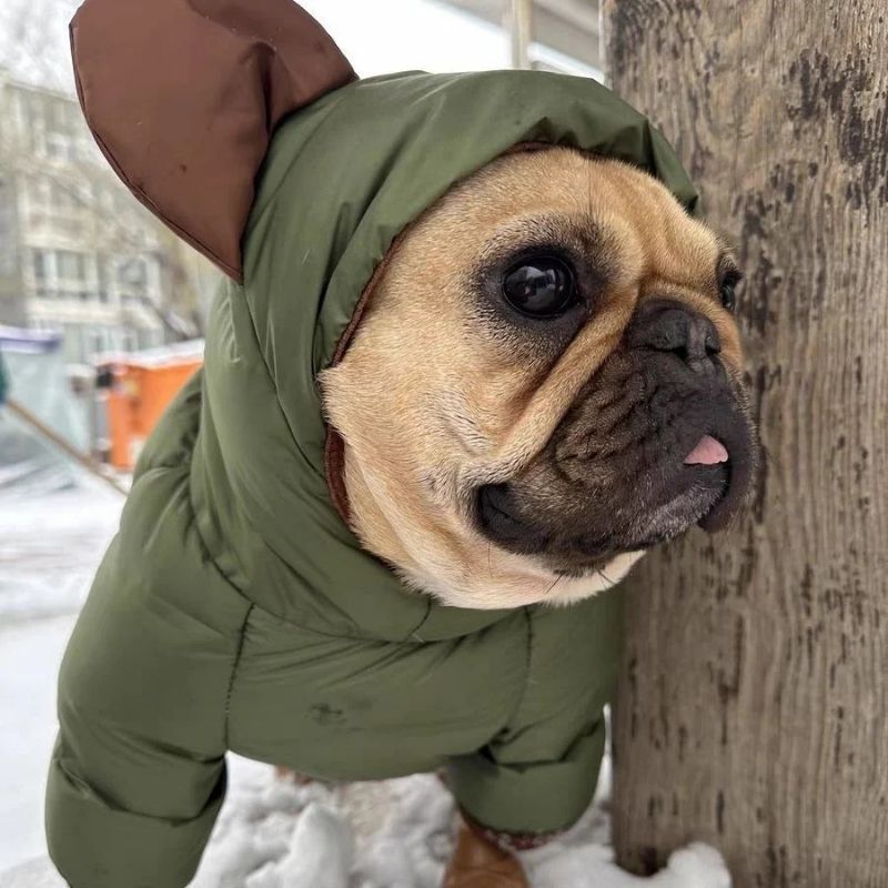 frenchie arctic jumpsuit