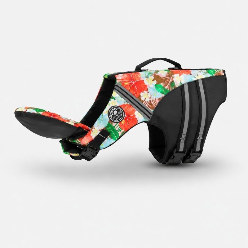 chinfloat frenchie life vest limited edition