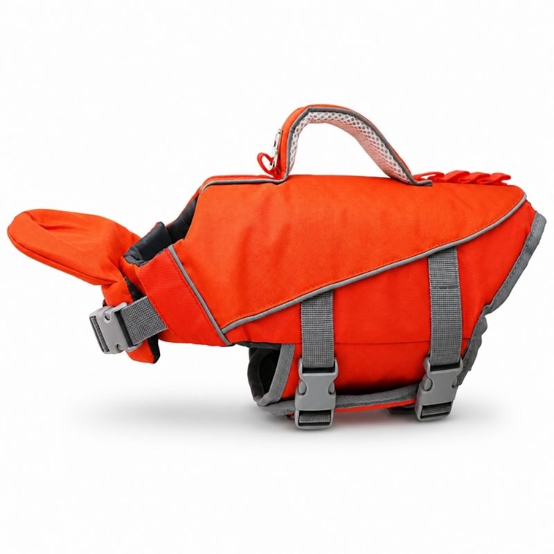 chinup frenchie life jacket