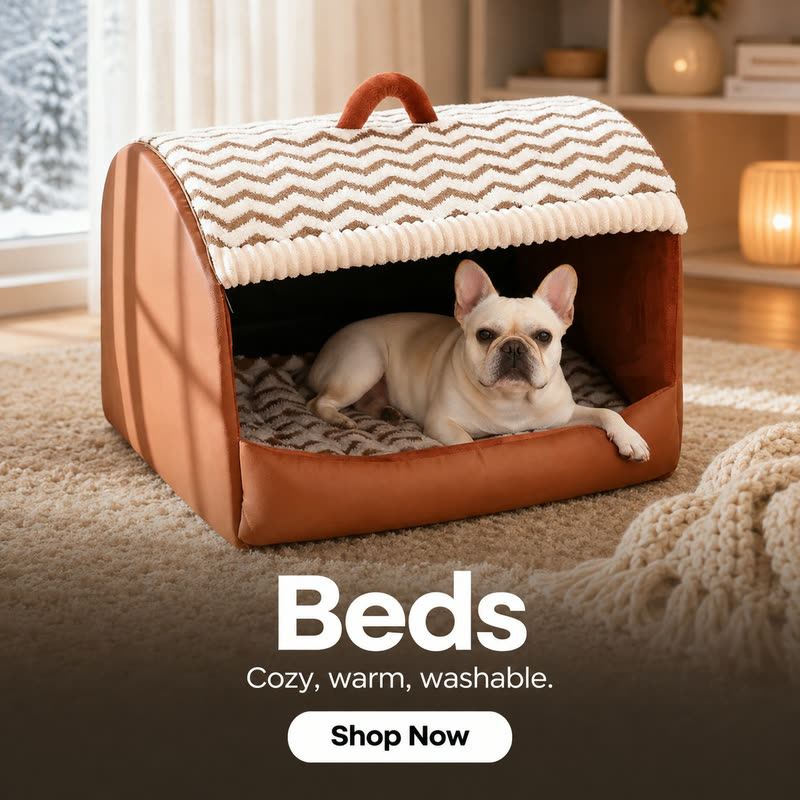 frenchie-space-beds-banner-winter